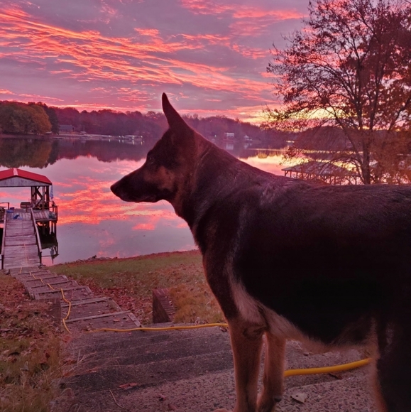 Hey!♡ Im Cat !! - Picture 8 of 16